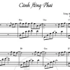 Cánh hồng phai sheet