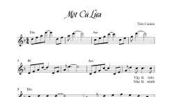 Một Cú Lừa Sheet Đệm Hát